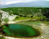Izvor